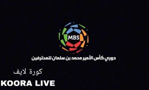 الهلال المتصدر يواجه الفيحاء.. تعرف على مواعيد الجولة السابعة من الدوري السعودي “دوري روشن” الهلال المتصدر يواجه الفيحاء.. تعرف على مواعيد الجولة السابعة من الدوري السعودي “دوري روشن”