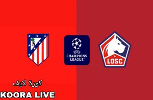 التشكيل المتوقع لمباراة أتلتيكو مدريد وليل في دوري أبطال أوروبا 2024-2025 التشكيل المتوقع لمباراة أتلتيكو مدريد وليل في دوري أبطال أوروبا 2024-2025