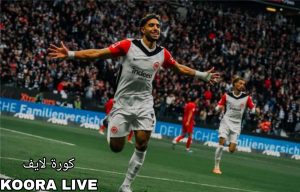 تطورات جديدة في انتقال عمر مرموش إلى الدوري الإنجليزي.. بعد عرض ليفربول تطورات جديدة في انتقال عمر مرموش إلى الدوري الإنجليزي.. بعد عرض ليفربول